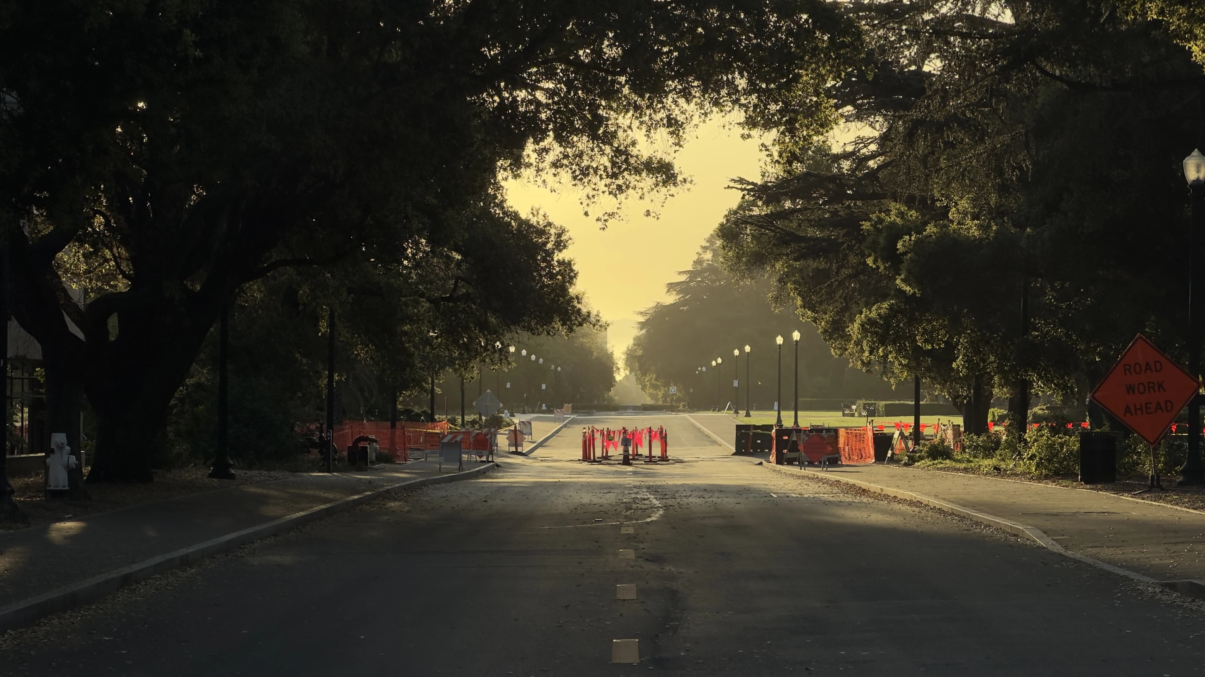 Empty tree-lined street at Stanford in soft golden sunrise light, blocked off by construction barriers and a Road Work Ahead sign